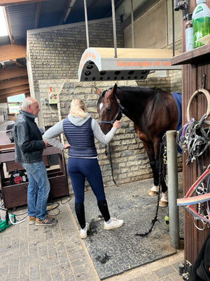 Häufige Hufprobleme und wie man sie verhindert