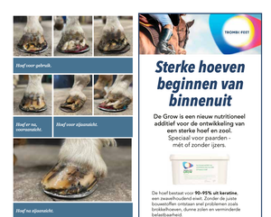 Publicatie in Hippo Revue – ‘TROMBOFEET GROW’: een voedingssupplement voor de ontwikkeling van een optimale hoef