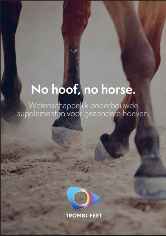 Bekijk onze brochure