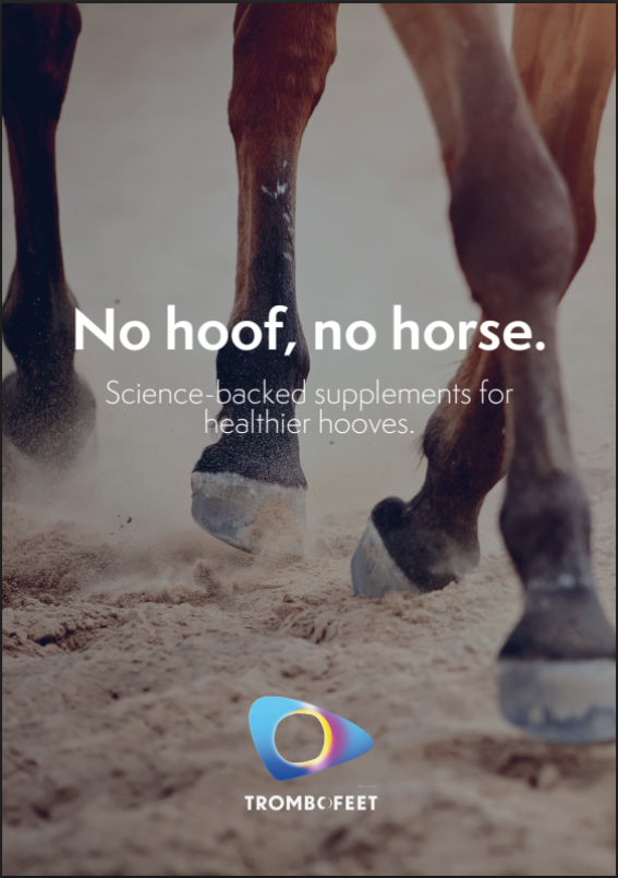 Discover our brochure